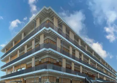 環境に配慮した木造建築事業を強化