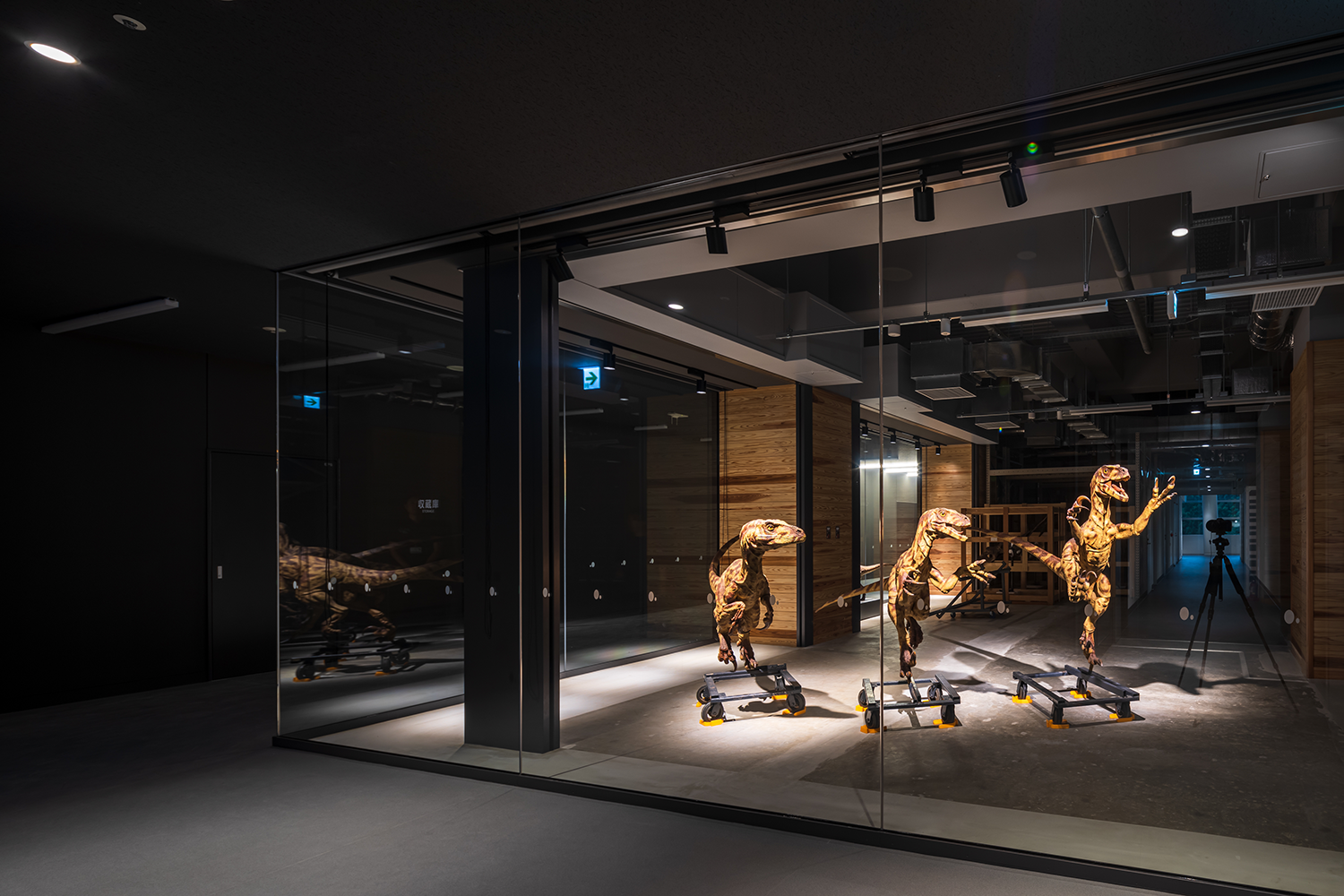 Fukui Prefectural Dinosaur Museum (Extension and reconstruction) 03