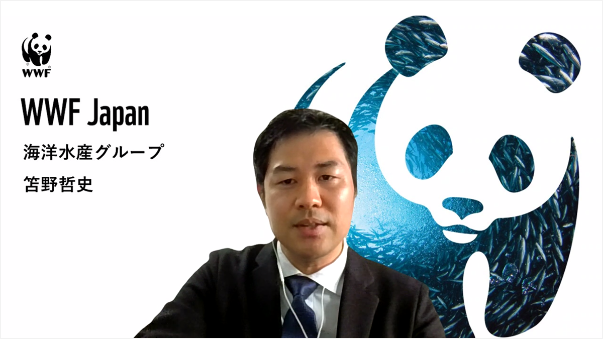 講演中のWWFジャパン 笘野氏