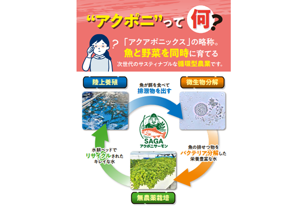 アクアポニックスとは