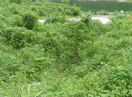 認証取得時（2015）