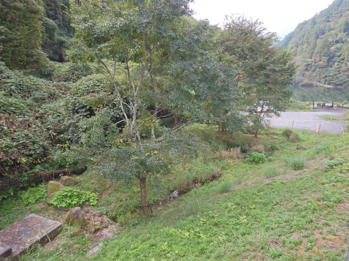 2回目の認証継続時（2025）（写真は2024年11月）