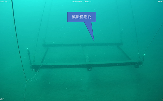 写真2 水深15mでの模擬構造物(水中映像)