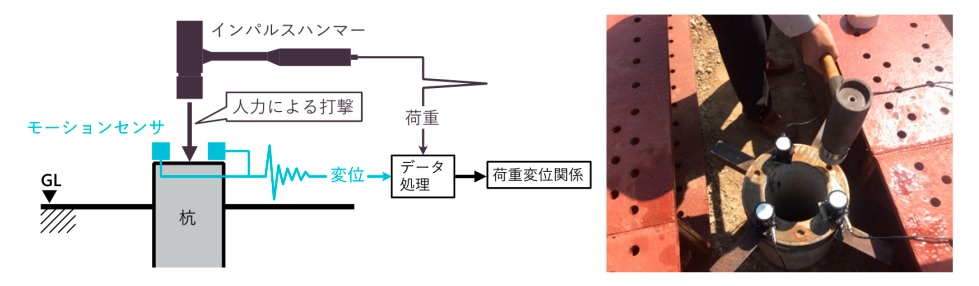 図1:本試験の概要と実施状況