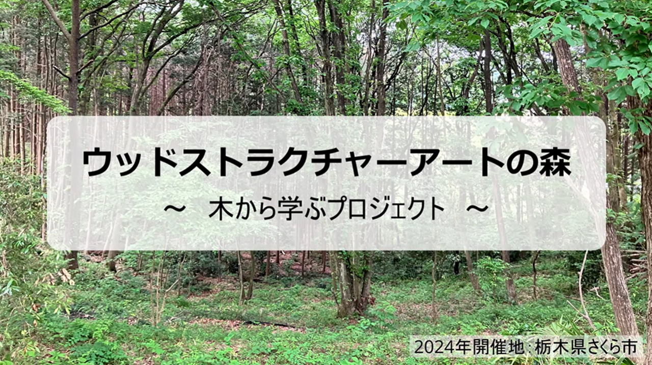 インターンシップ活動 アートの森栃木in2024