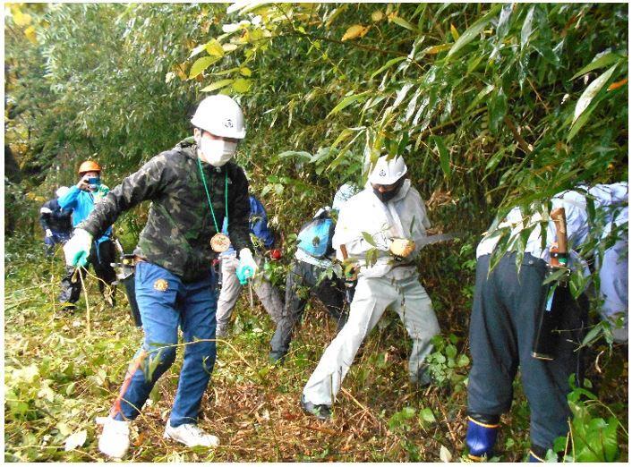 群馬県昭和村での森林作業の様子
