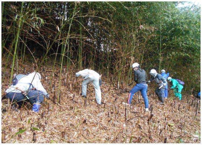 群馬県昭和村での森林作業の様子