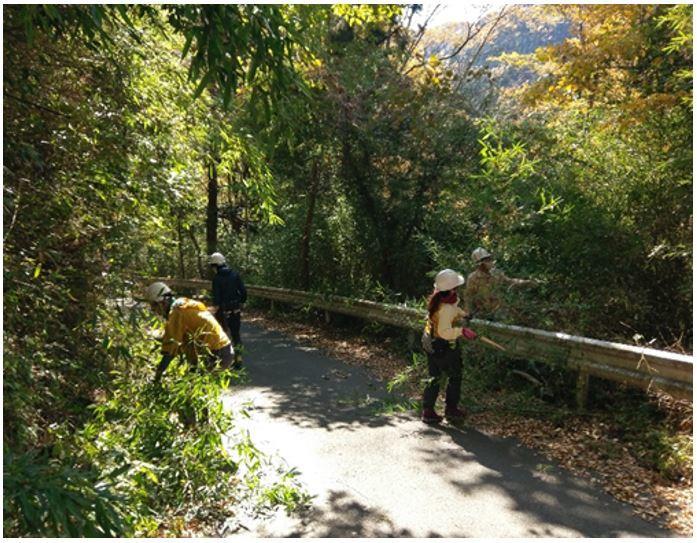 埼玉県児玉郡神川町での森林作業の様子