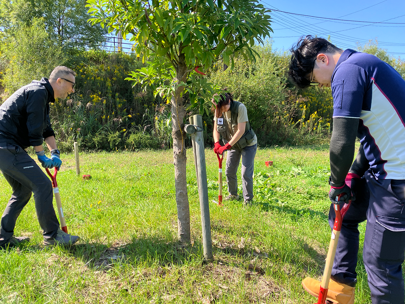 南三陸町震災復興祈念公園にて土壌改良のボランティア2