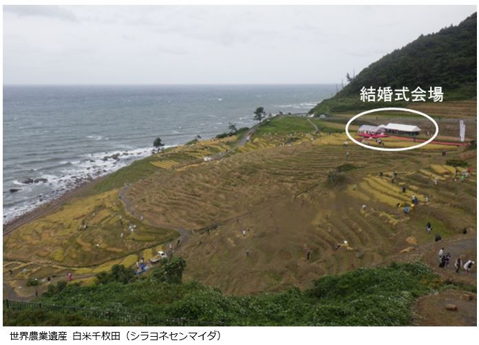 白米千枚田の田植えイベントへの参加2