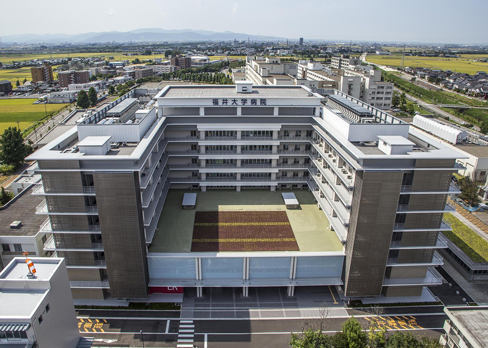  福井大学医学部附属病院1