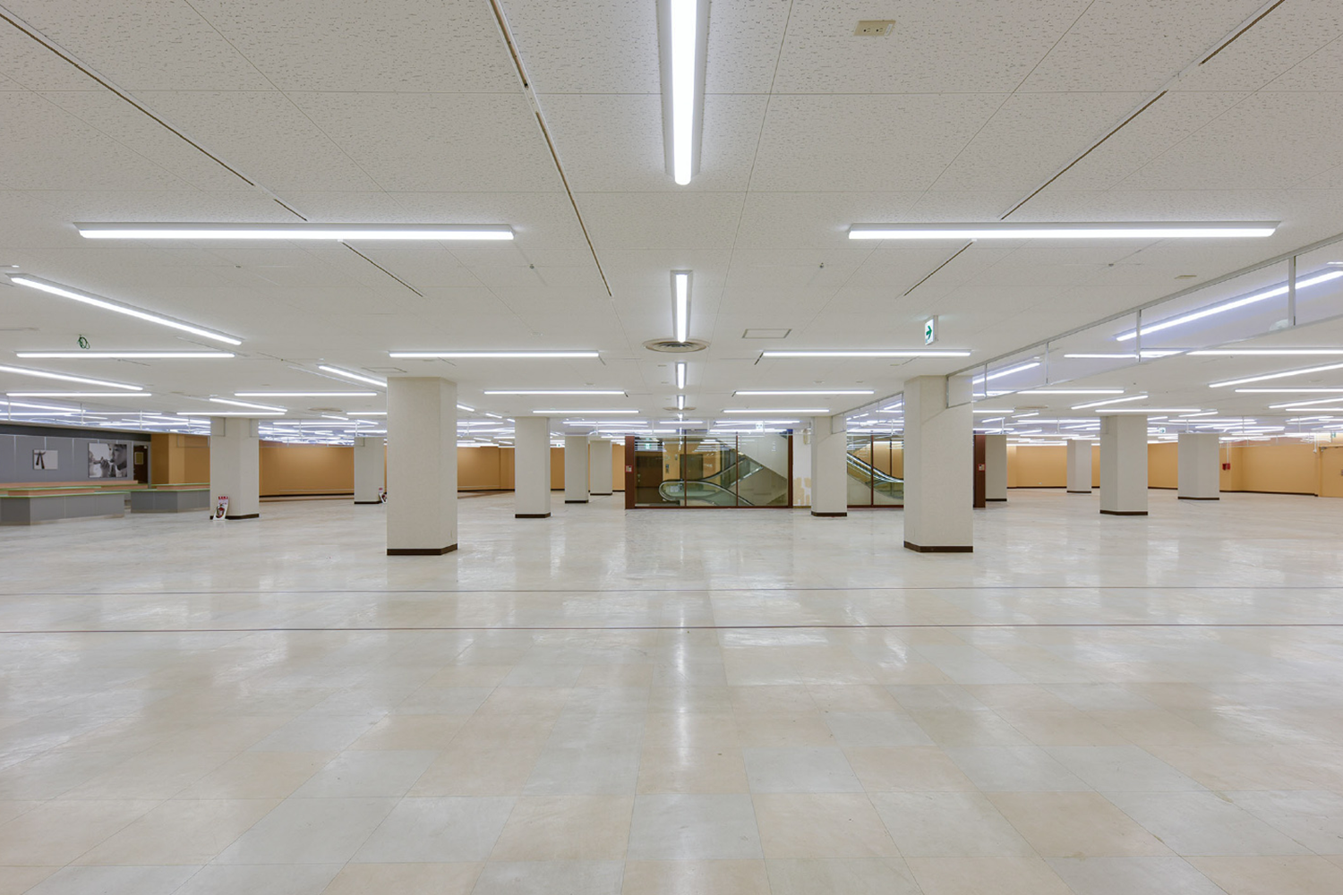 MEGAドン・キホーテ成増店3