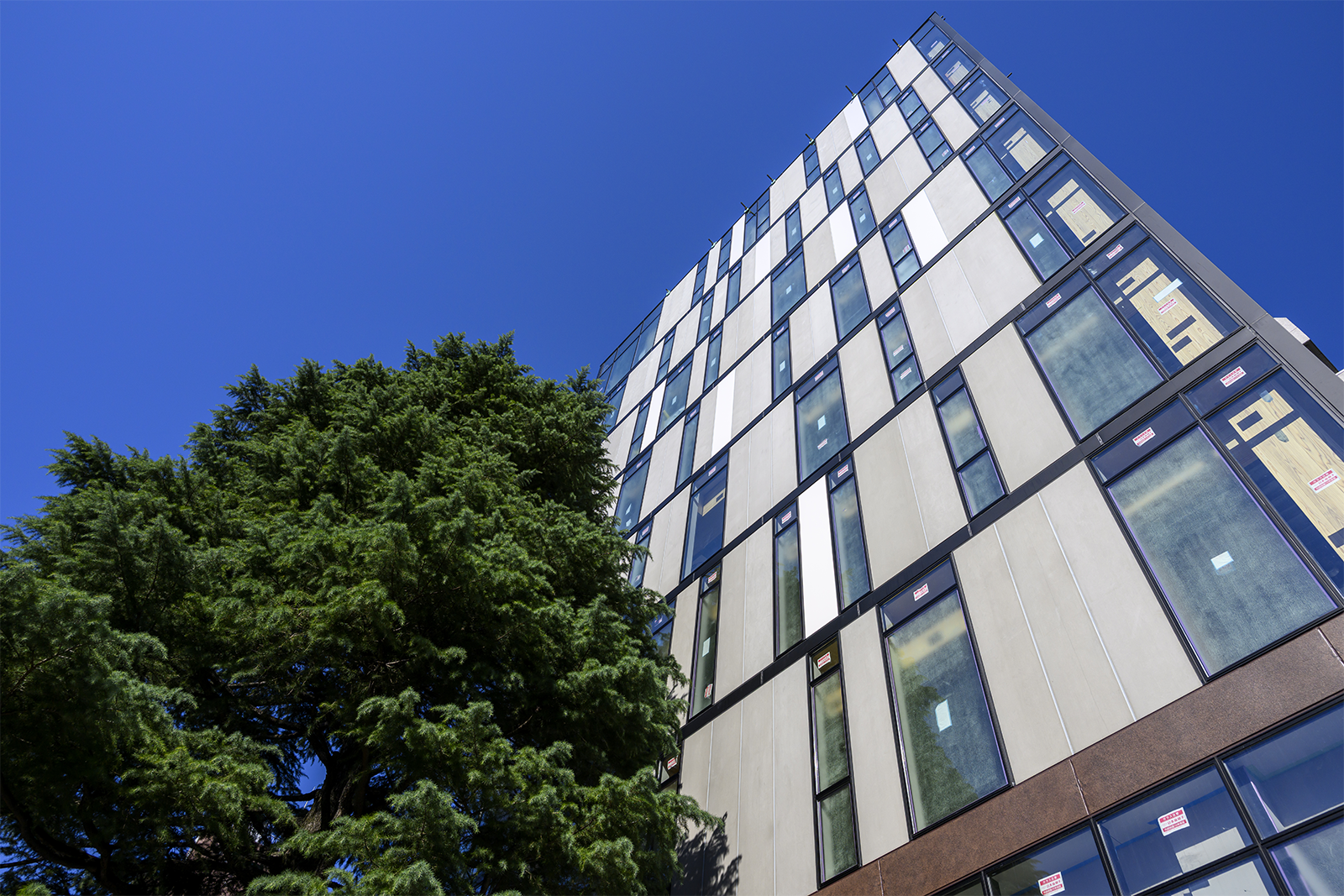 公園の樹木と隣接する木造中高層建築物「KiGi AKIHABARA」