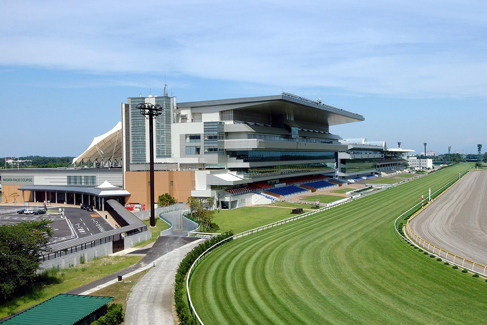 新潟競馬場1